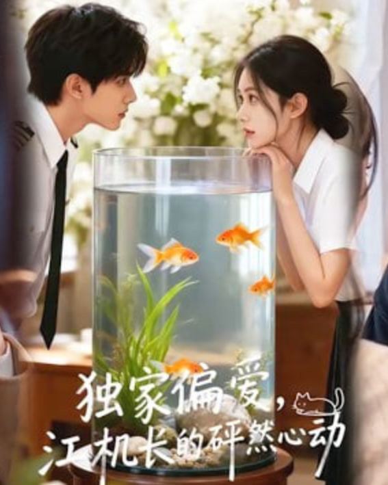 独家偏爱，江机长的砰然心动&amp;恋心月下